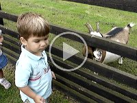 Finkley Farm